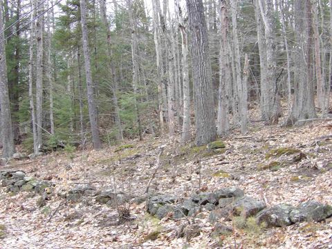 Lot 9 Roxbury Road Sanbornton NH 03269