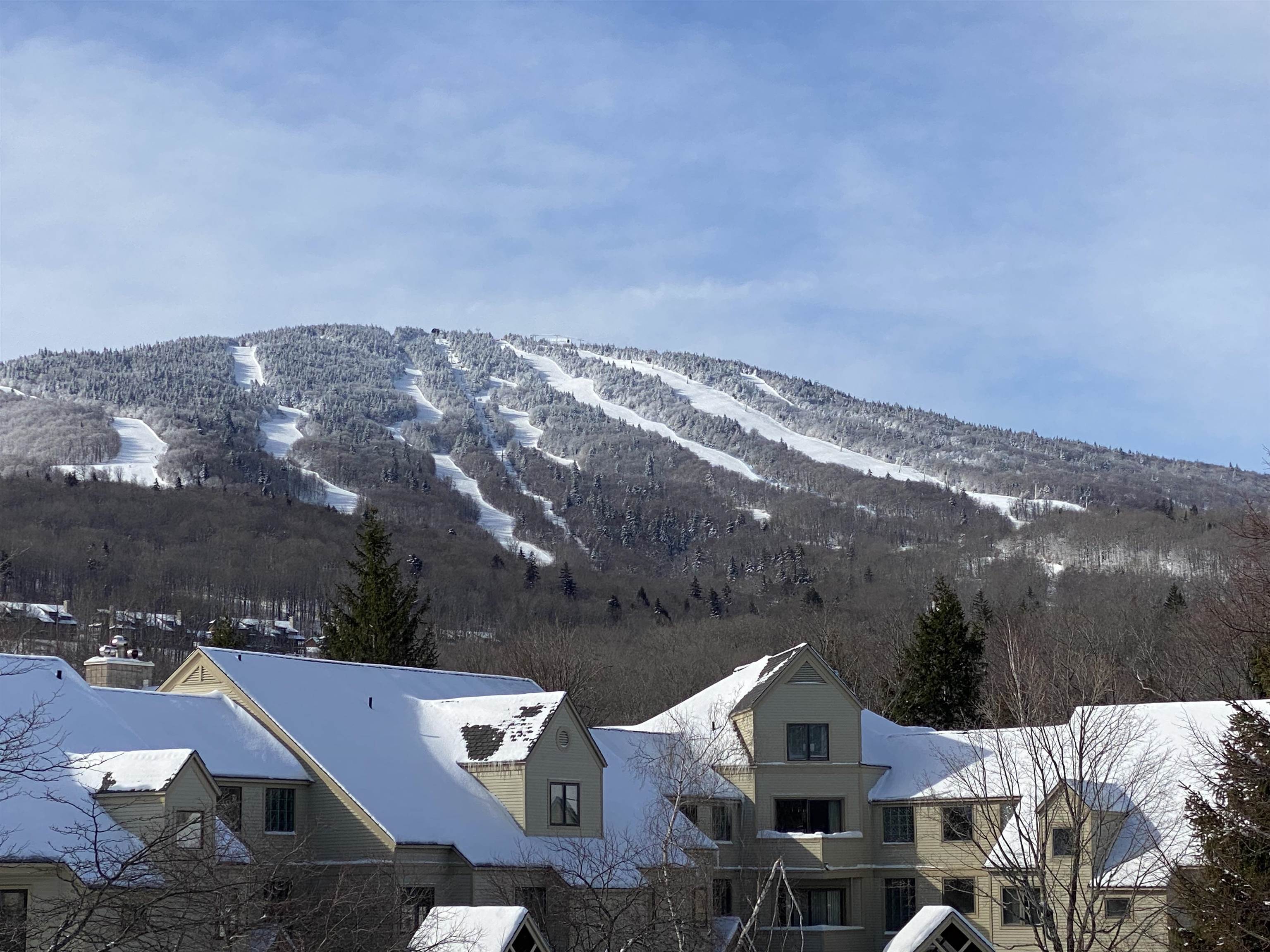 49 High Point Drive A-14