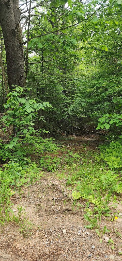 Pine Ridge Road 3 Middleton NH 03887