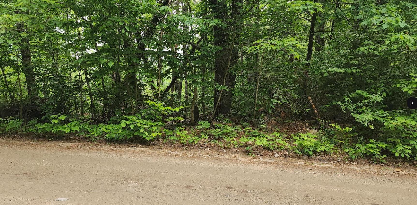 Pine Ridge Road 3