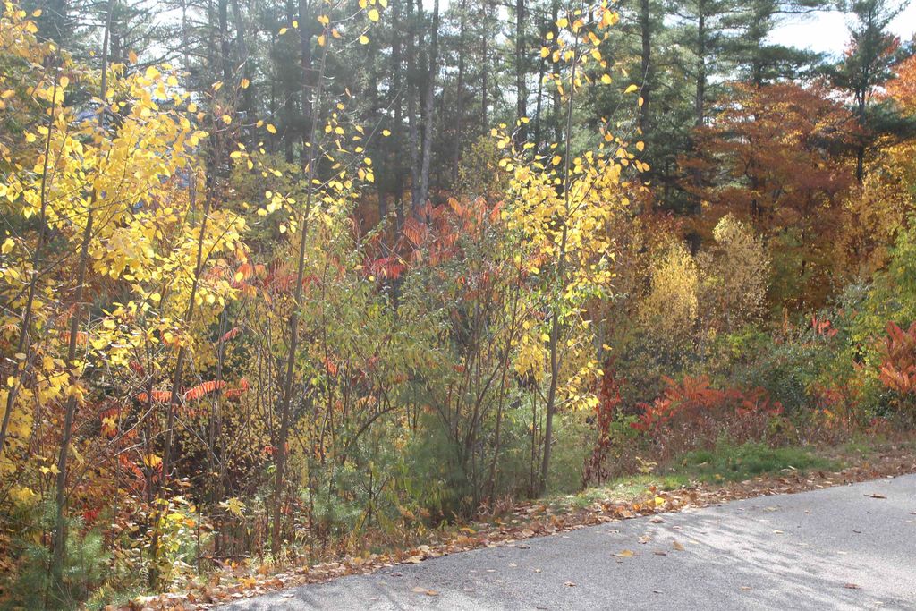 Photo of 3 Beechwoods Drive #3, Bartlett, NH 03845 (MLS # 5076998)