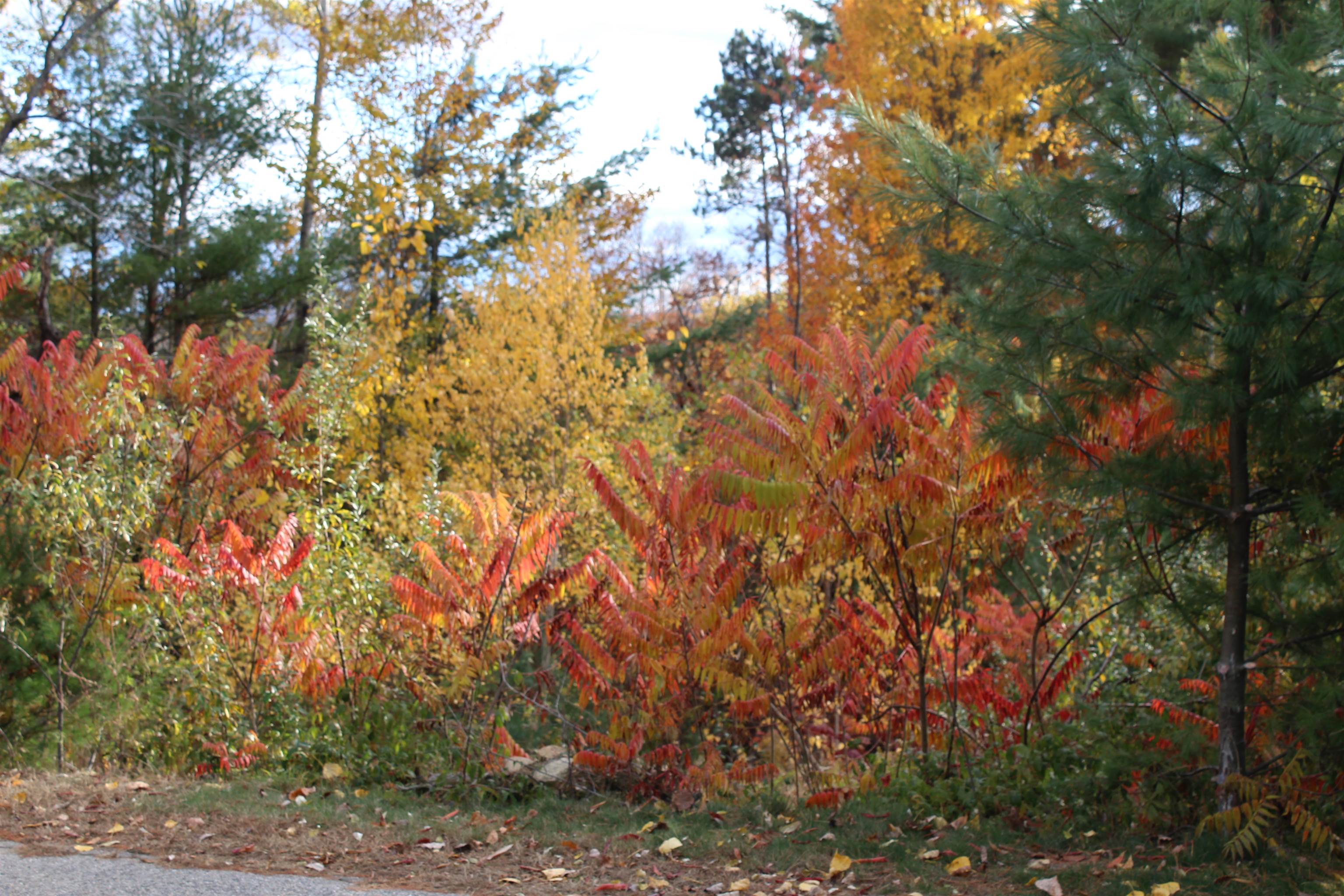 3 Beechwoods Drive 3