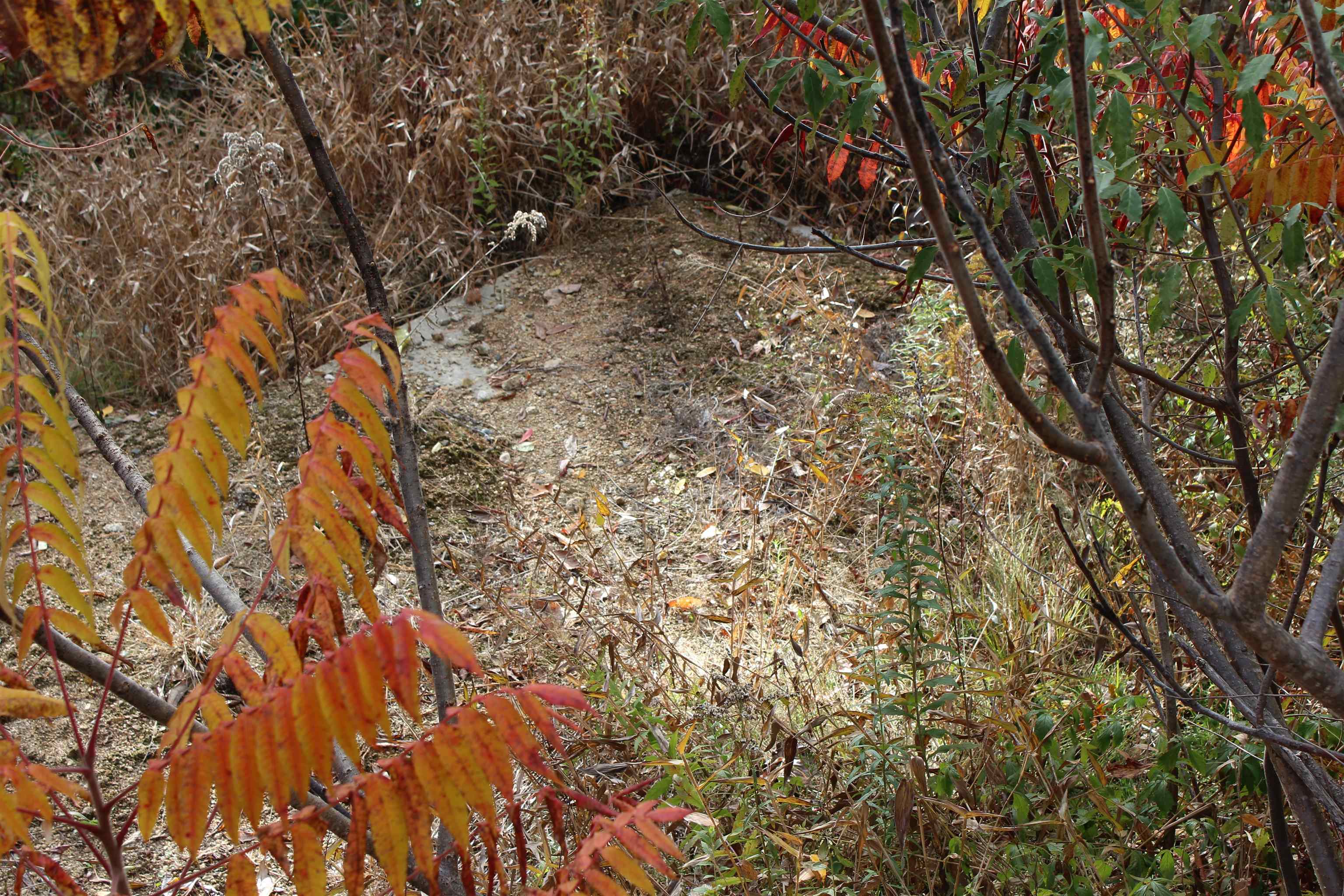 3 Beechwoods Drive 3