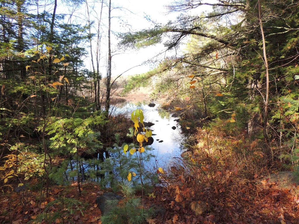 Photo of 140 Chickville Road, Ossipee, NH 03864 (MLS # 5004043)