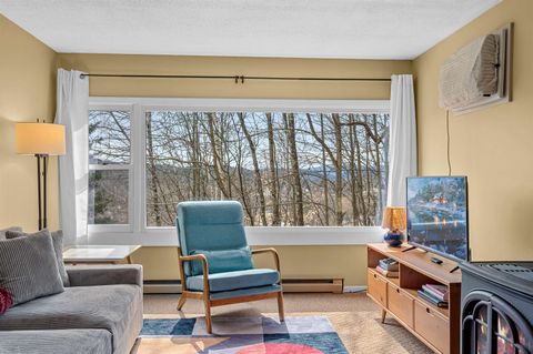 220 Mountainside Drive E301 Stowe VT 05672