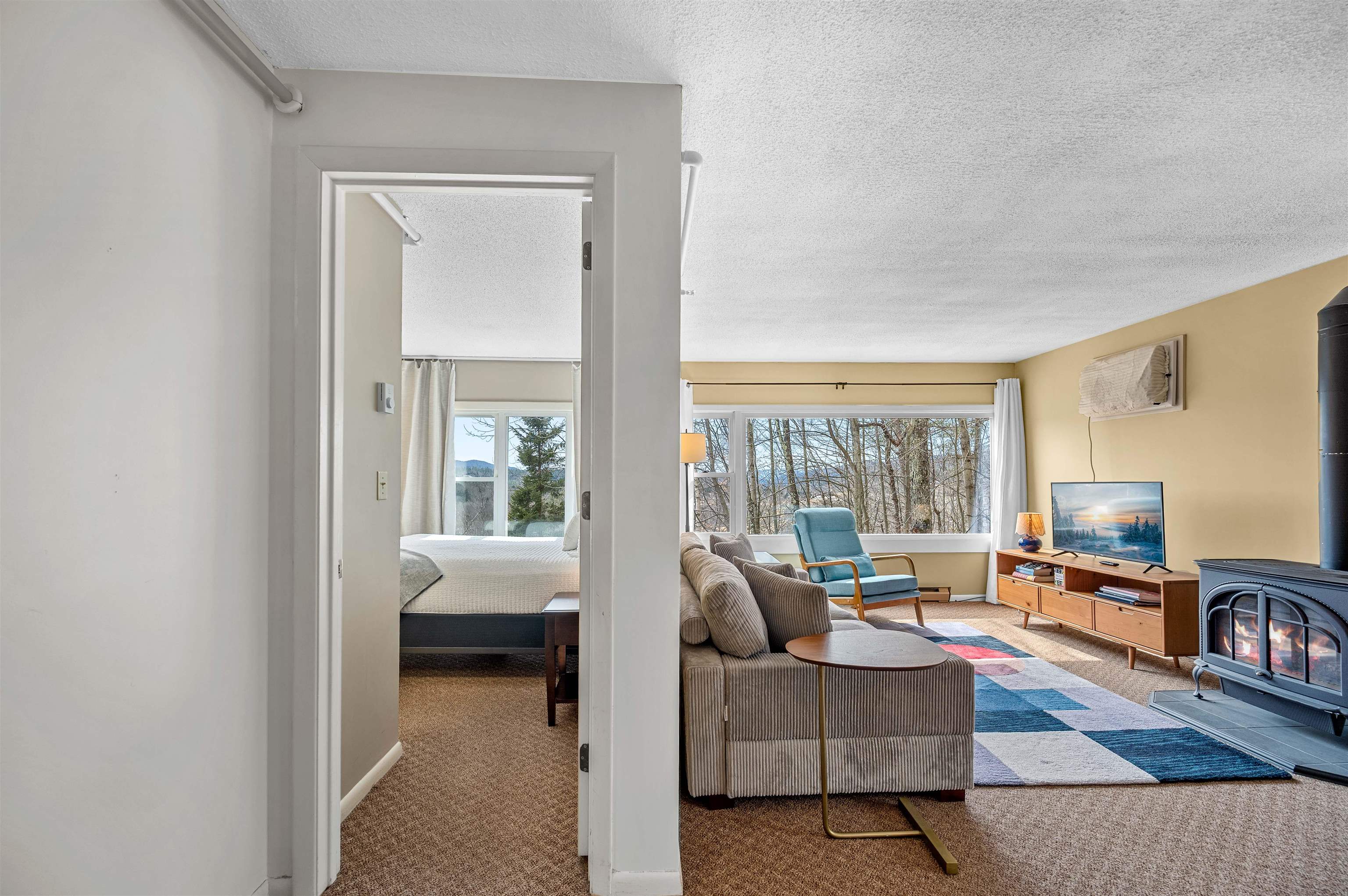 220 Mountainside Drive E301