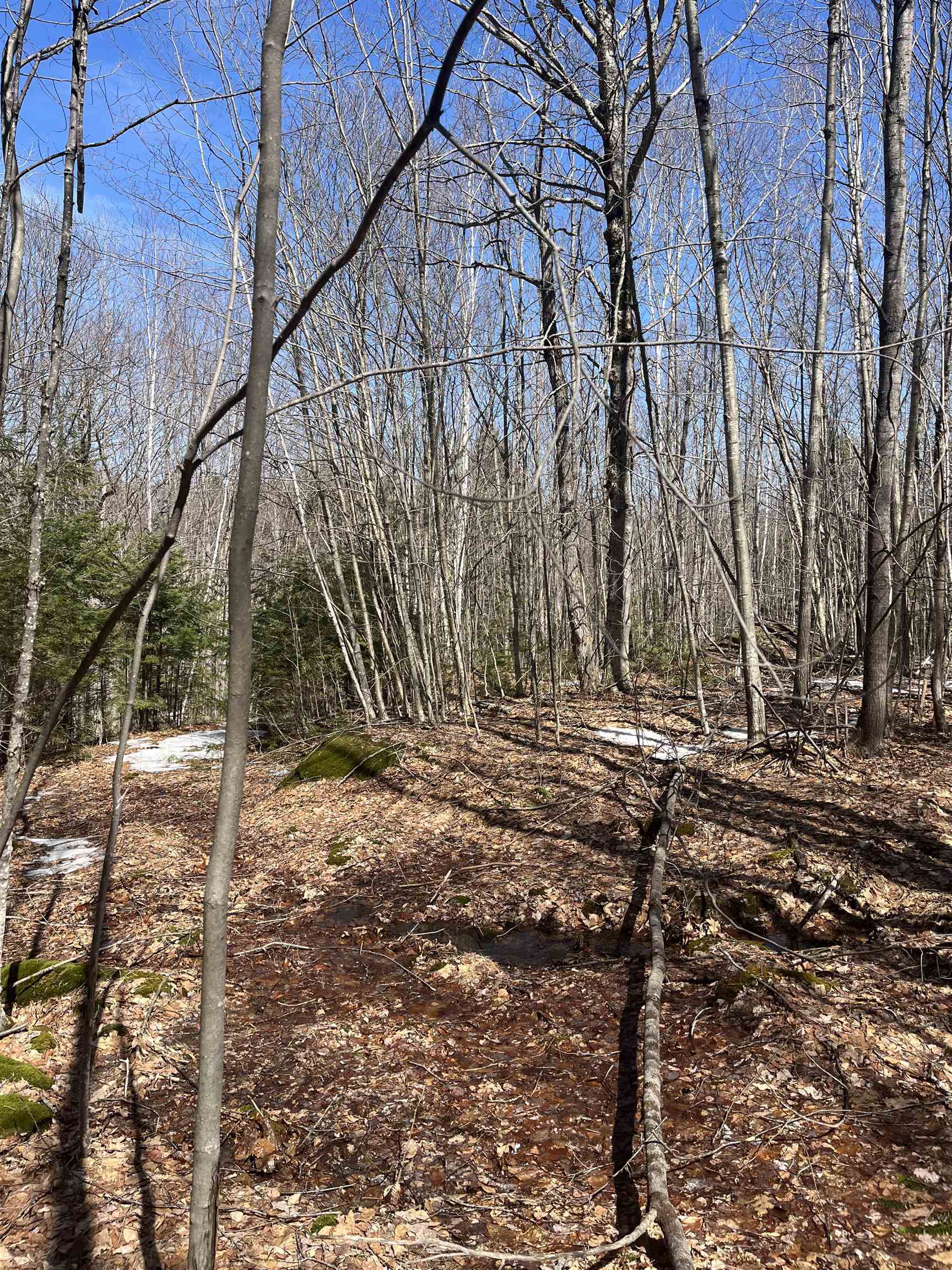 Lot 178 Map 20, Dole School House Road