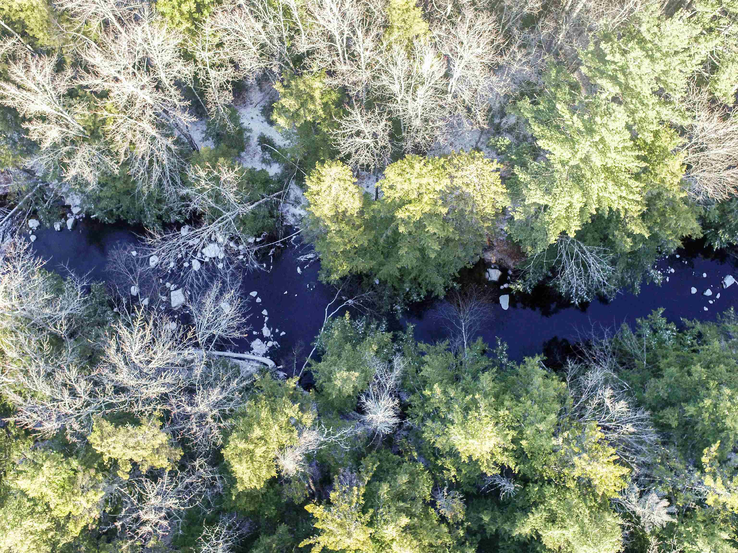 Ossipee, New Hampshire 03814, United States, ,Land,Active,241551