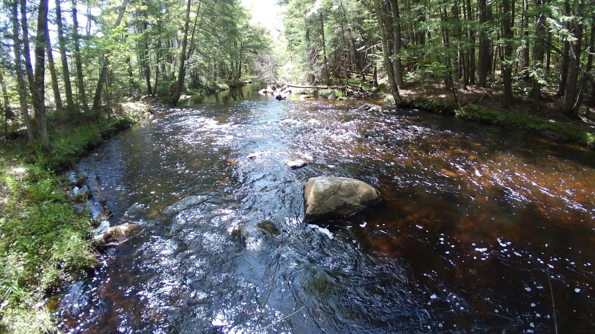 Ossipee, New Hampshire 03814, United States, ,Land,Active,241551