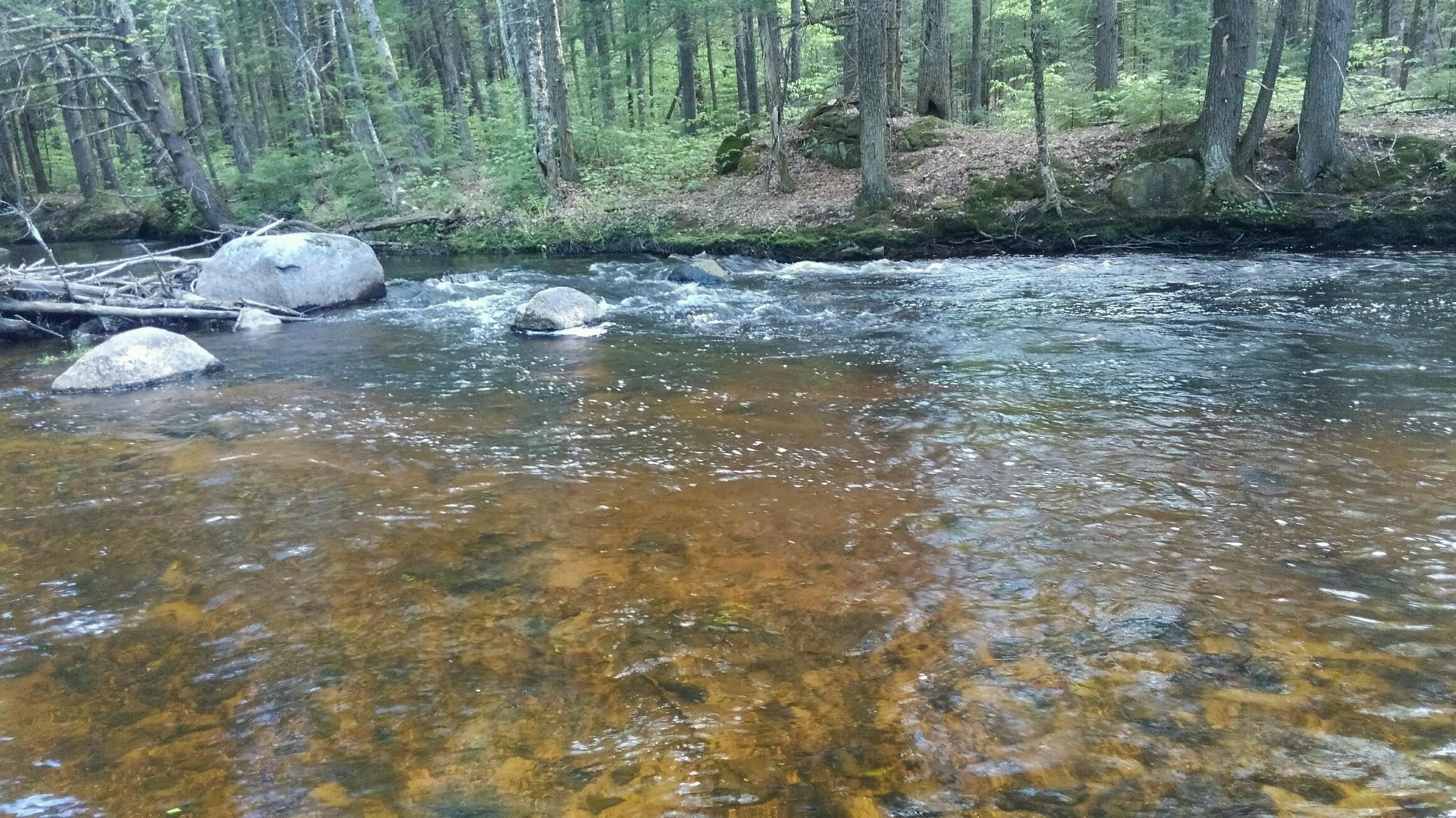 Ossipee, New Hampshire 03814, United States, ,Land,Active,241551