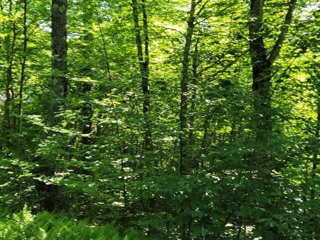 Photo of 26 Presidential View Lane, Bethlehem, NH 03574 (MLS # 5087476)
