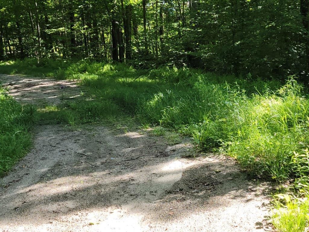 Photo of 26 Presidential View Lane, Bethlehem, NH 03574 (MLS # 5087476)