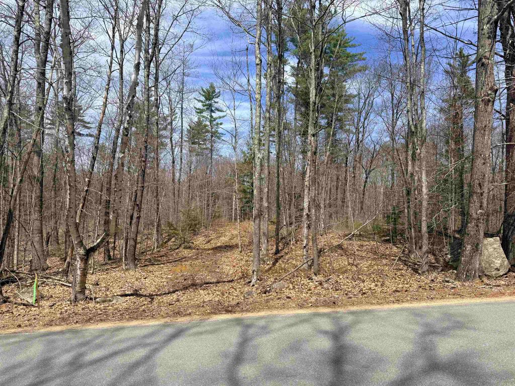Photo of 20881 Baptist Hill Road #8-1, Canterbury, NH 03224 (MLS # 5086234)