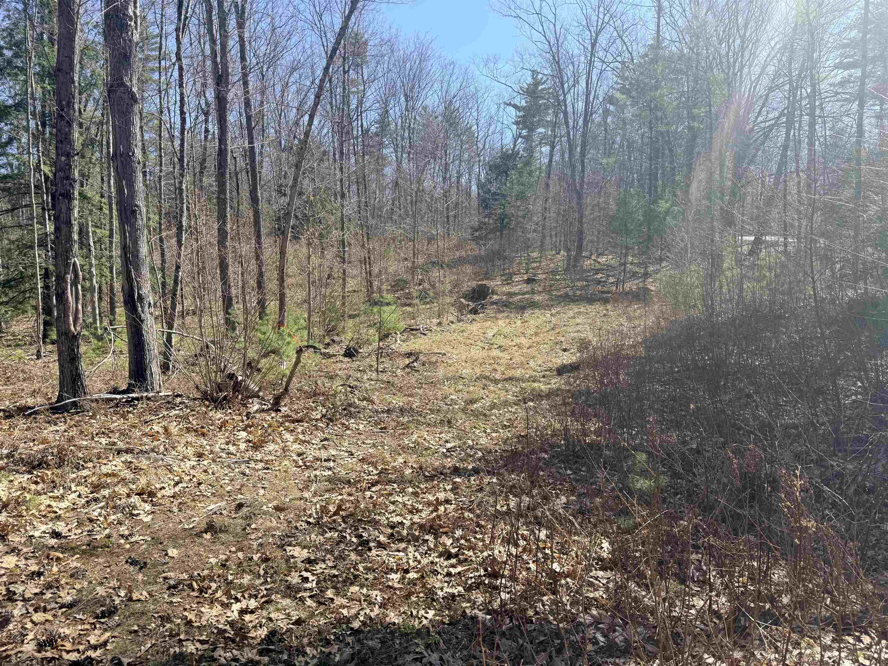 Map 208 Lot 8-1 Baptist Hill Road 8-1