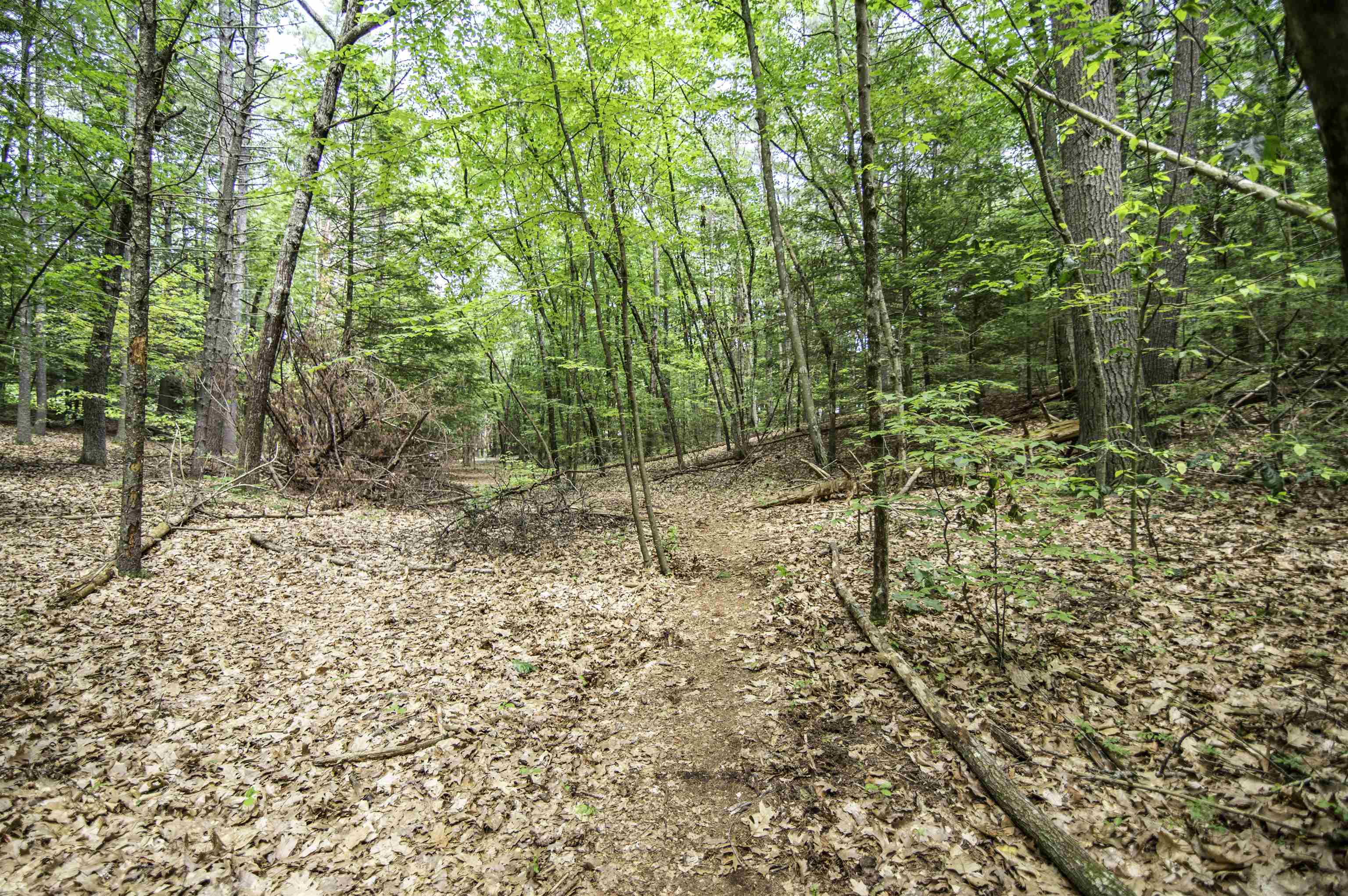 U5 Lot 2 Drew Lane
