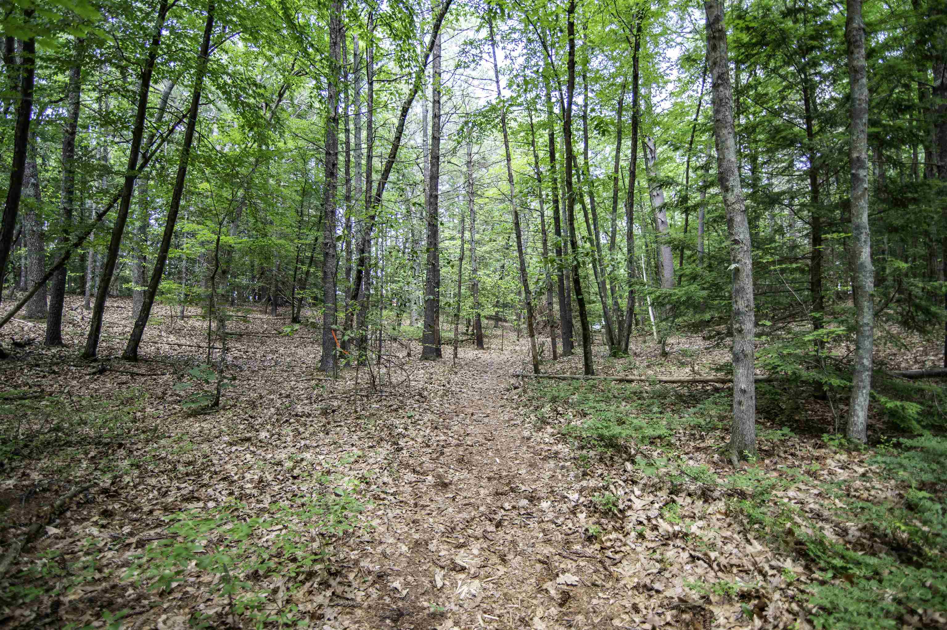 U5 Lot 2 Drew Lane