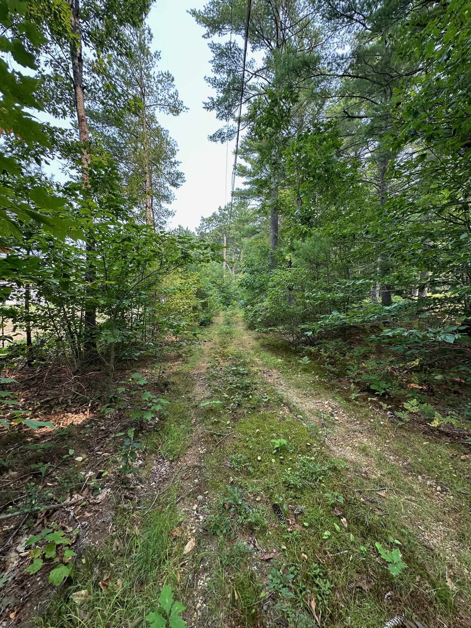 11-21 Parker Mountain Road