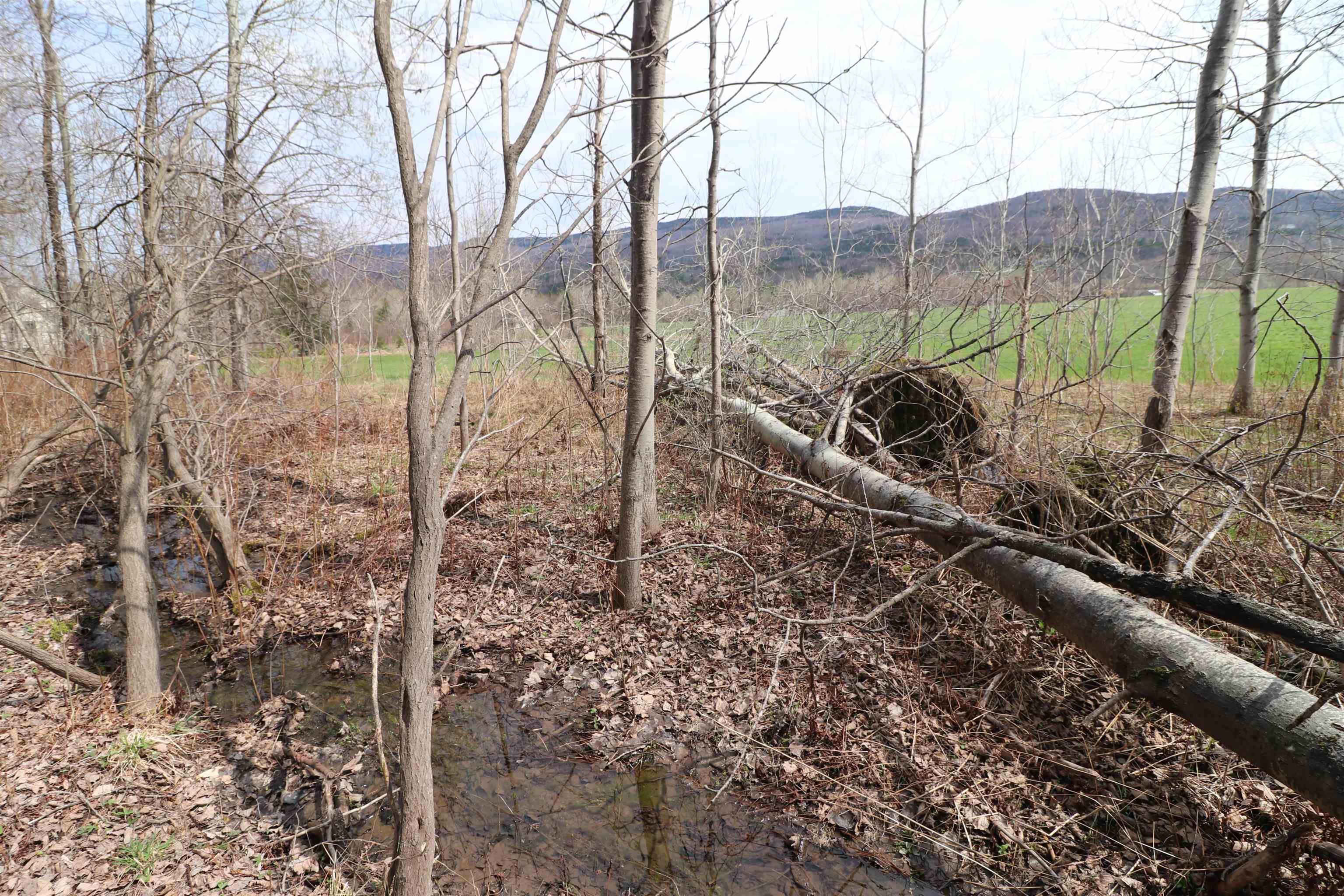 600 Woods Road South