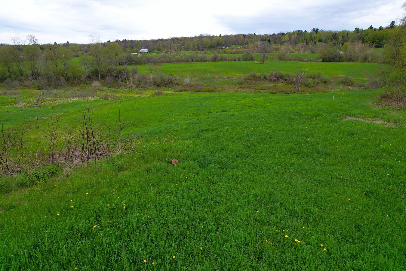 Lot 12 Paradis Lane