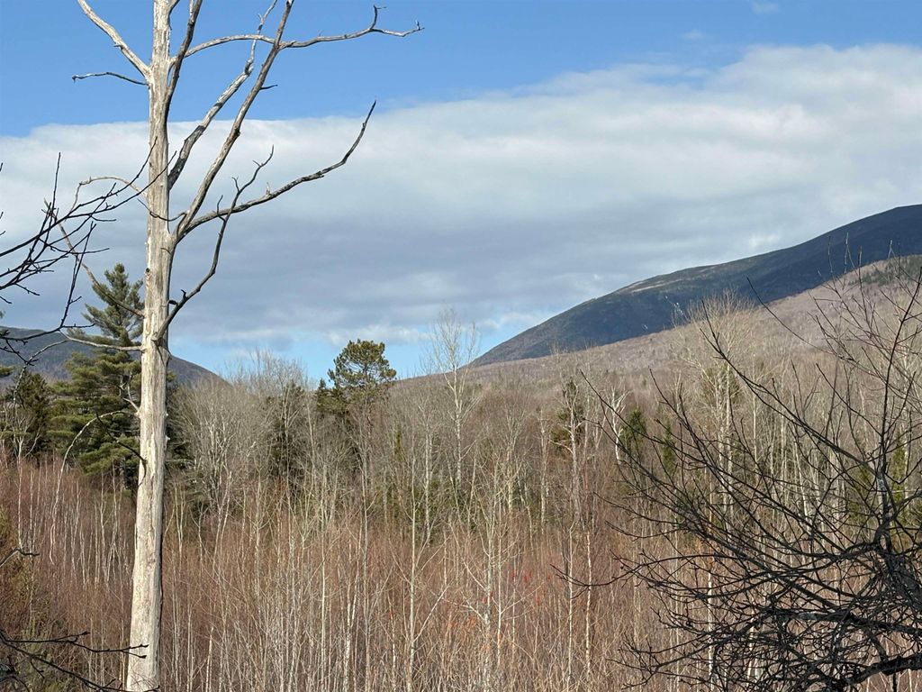 Photo of 00 Stimson Road, Warren, NH 03279 (MLS # 5078934)