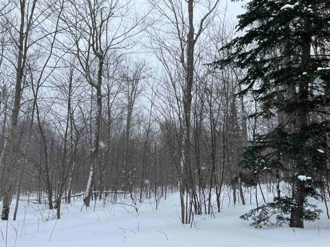 2924 New Duck Pond Road Sheffield VT 05866