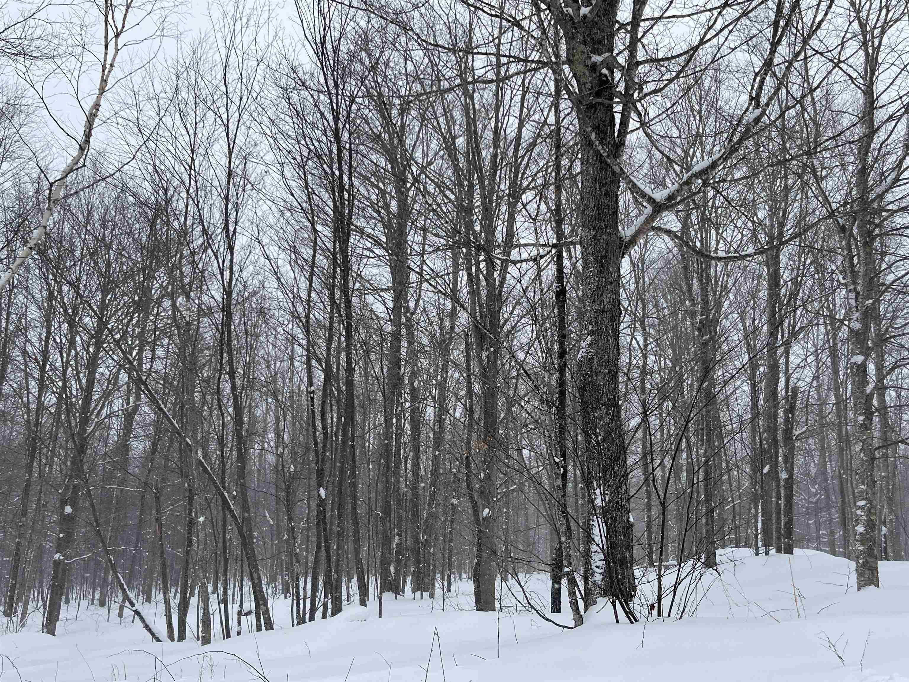 2924 New Duck Pond Road