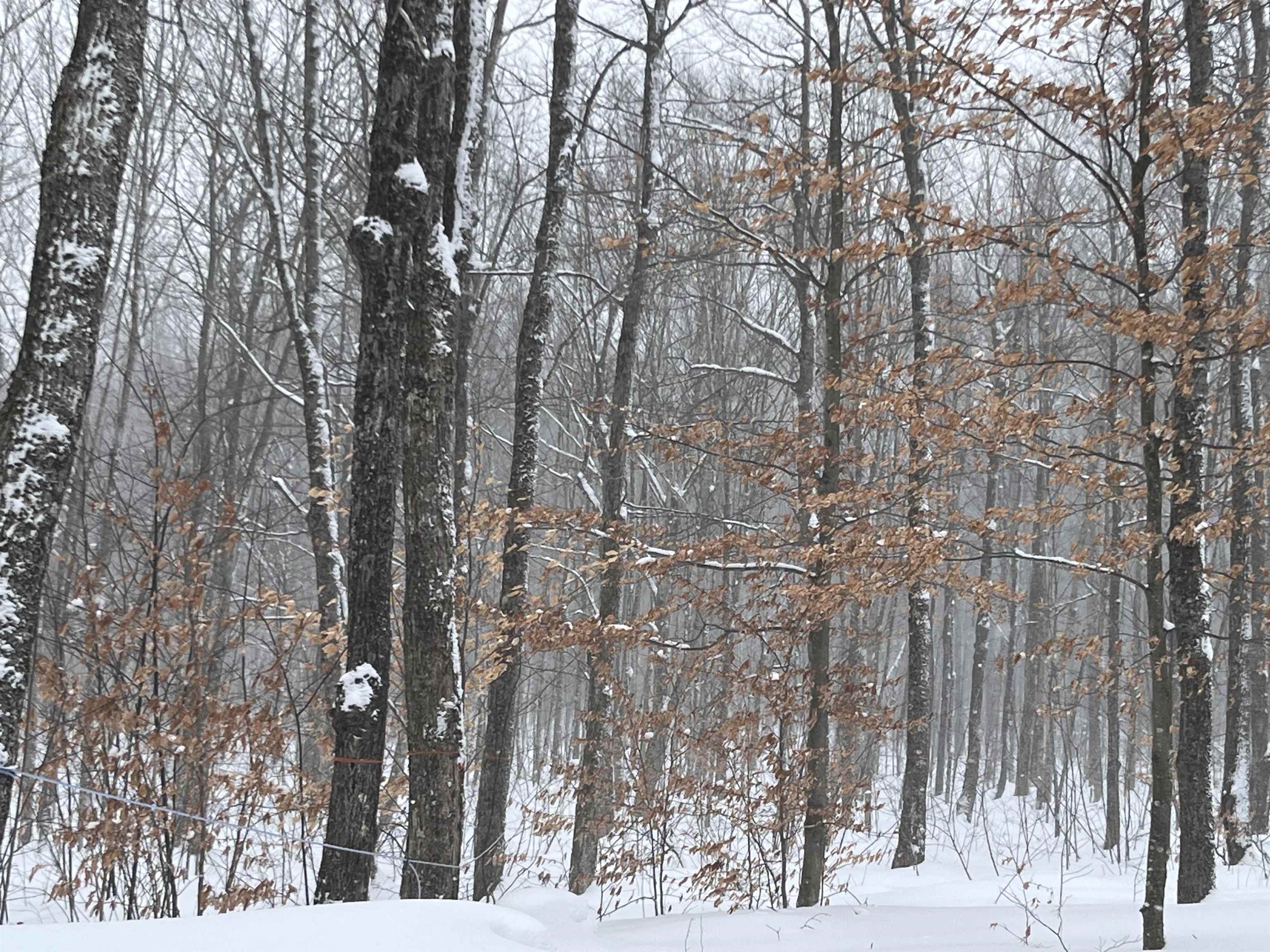 2924 New Duck Pond Road