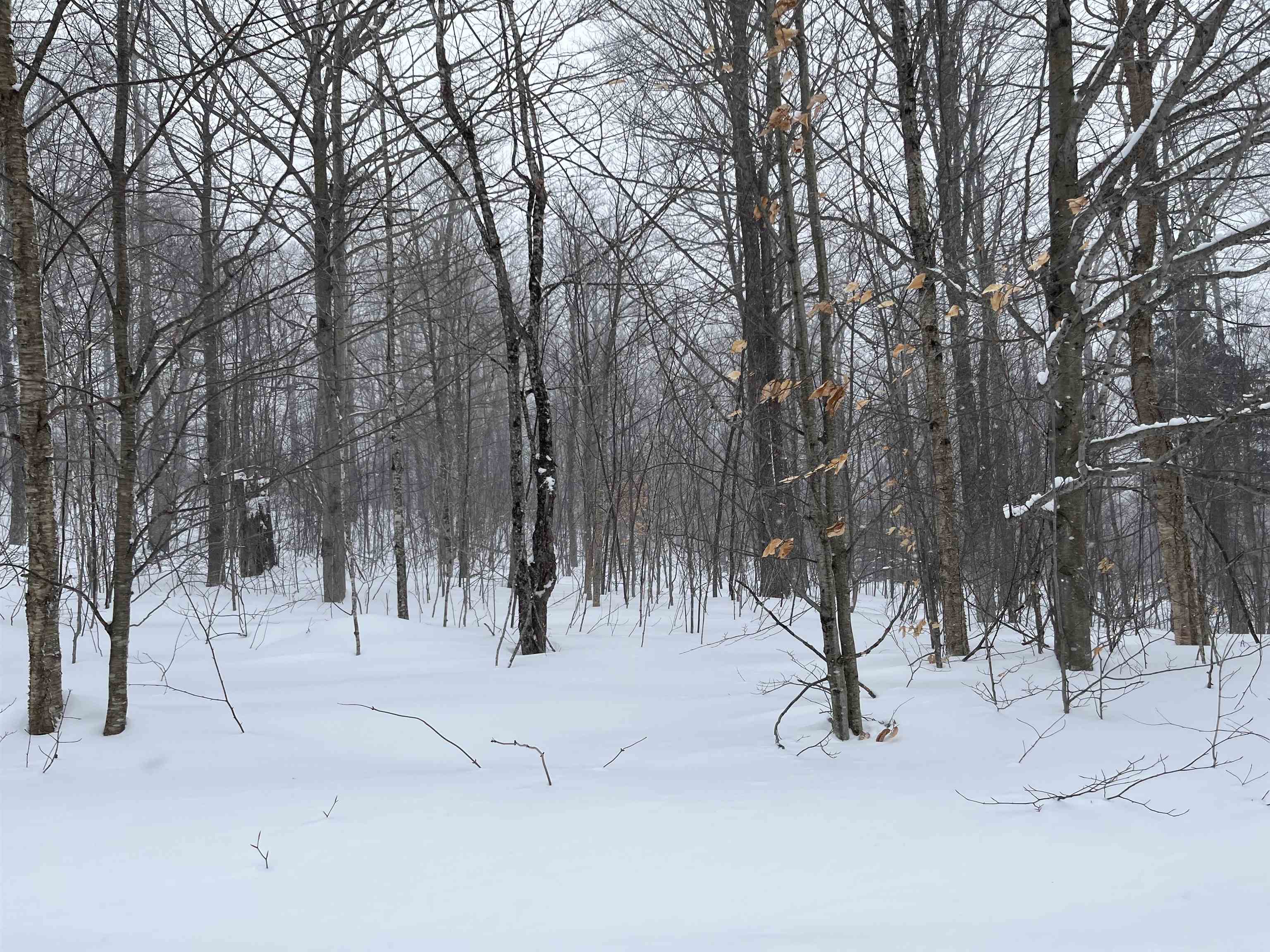 2924 New Duck Pond Road