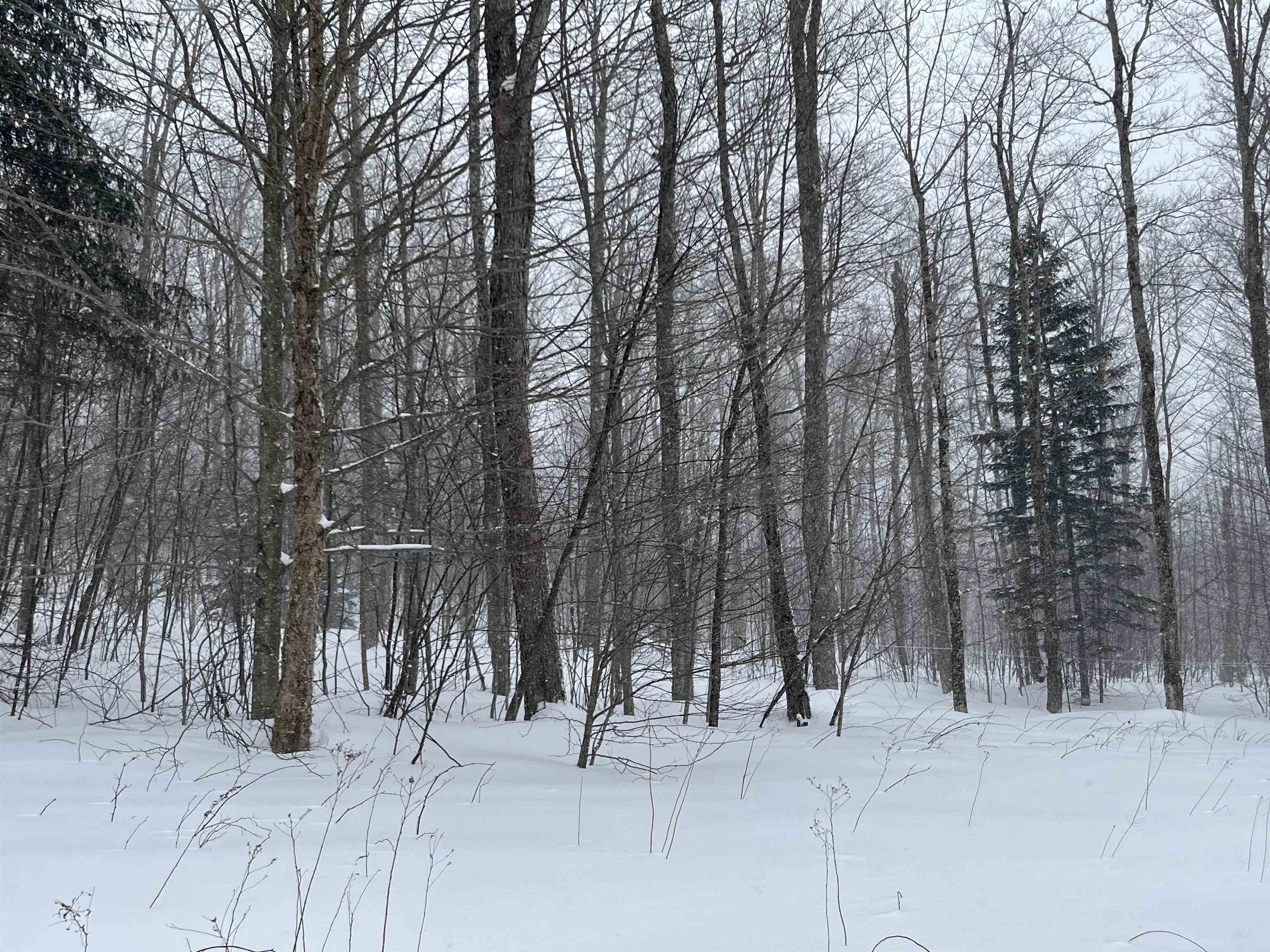 2924 New Duck Pond Road