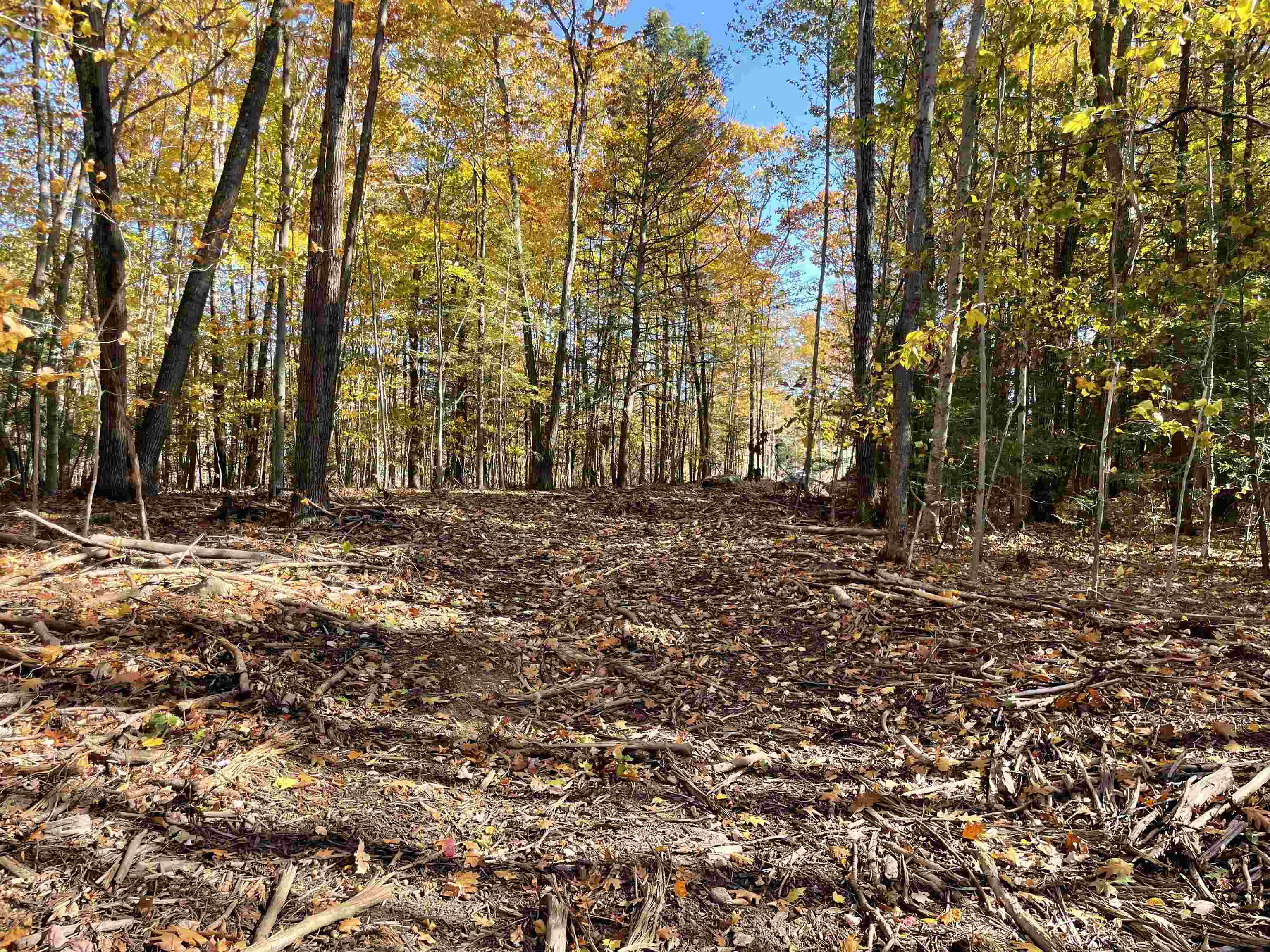 Raymond, New Hampshire 03077, United States, ,Land,Active,80952