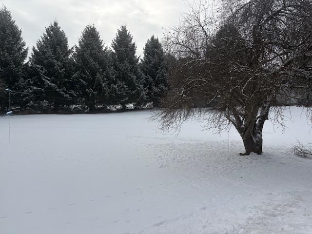 00 Tuttle Meadow Drive