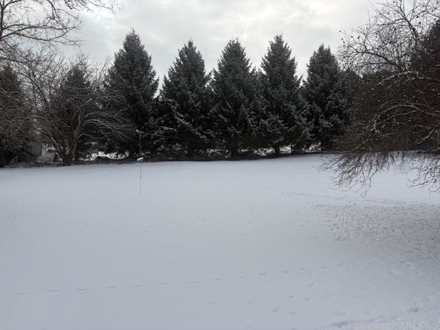 00 Tuttle Meadow Drive