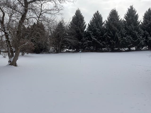 00 Tuttle Meadow Drive