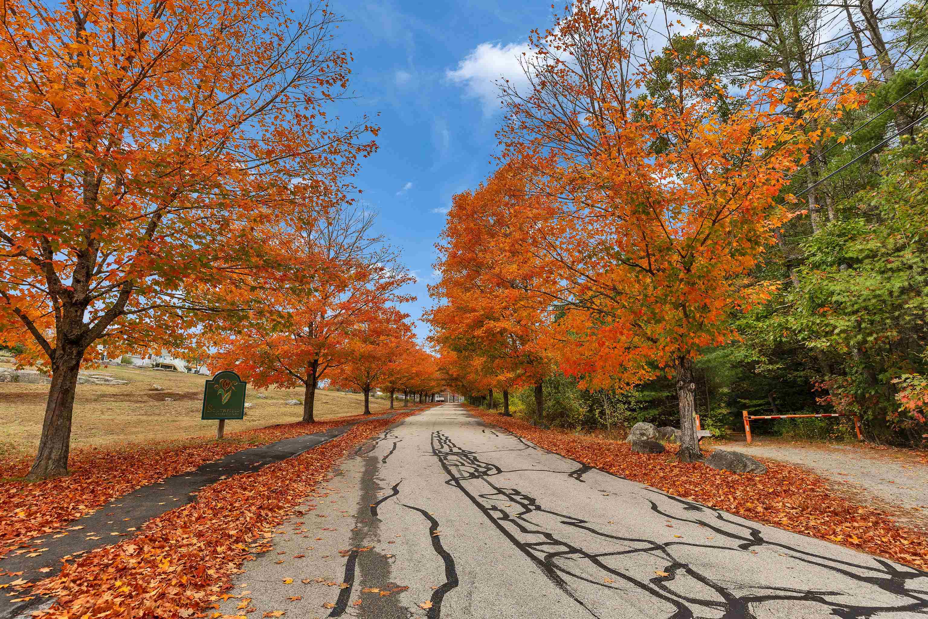 307 Southfield Lane 307