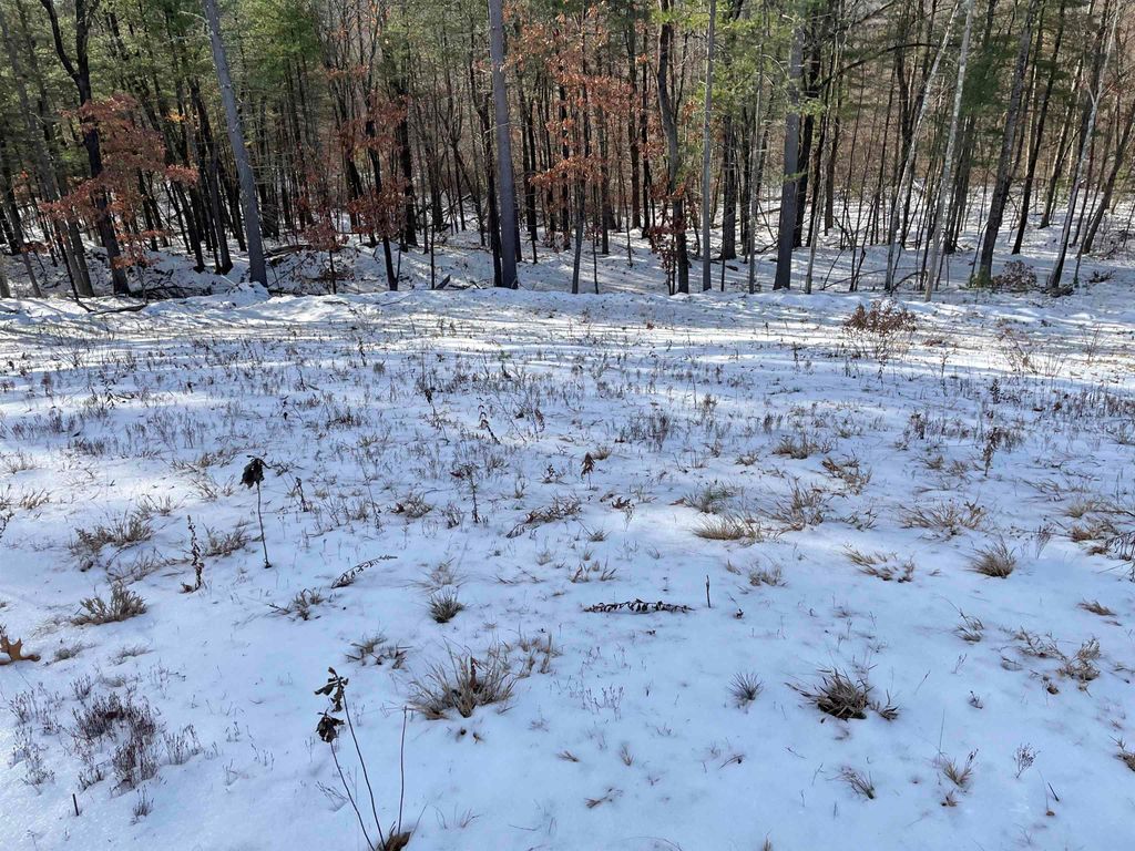 Photo of 25 Newbury Road, Pelham, NH 03076 (MLS # 5072058)