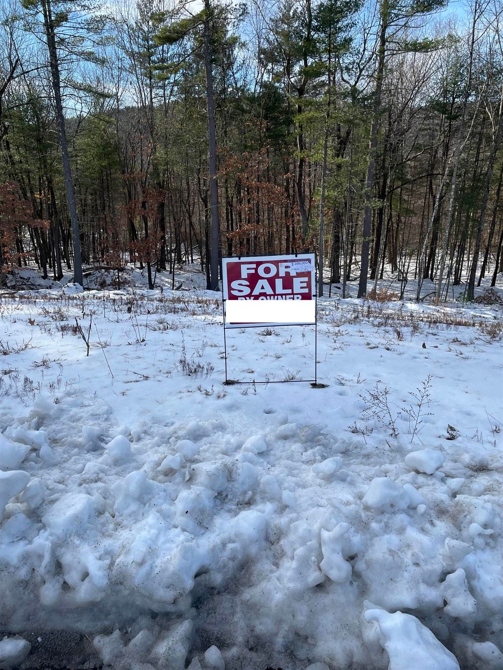 Photo of 25 Newbury Road, Pelham, NH 03076 (MLS # 5072058)