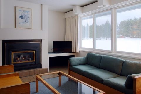185 Village Green Drive 8D Stowe VT 05672