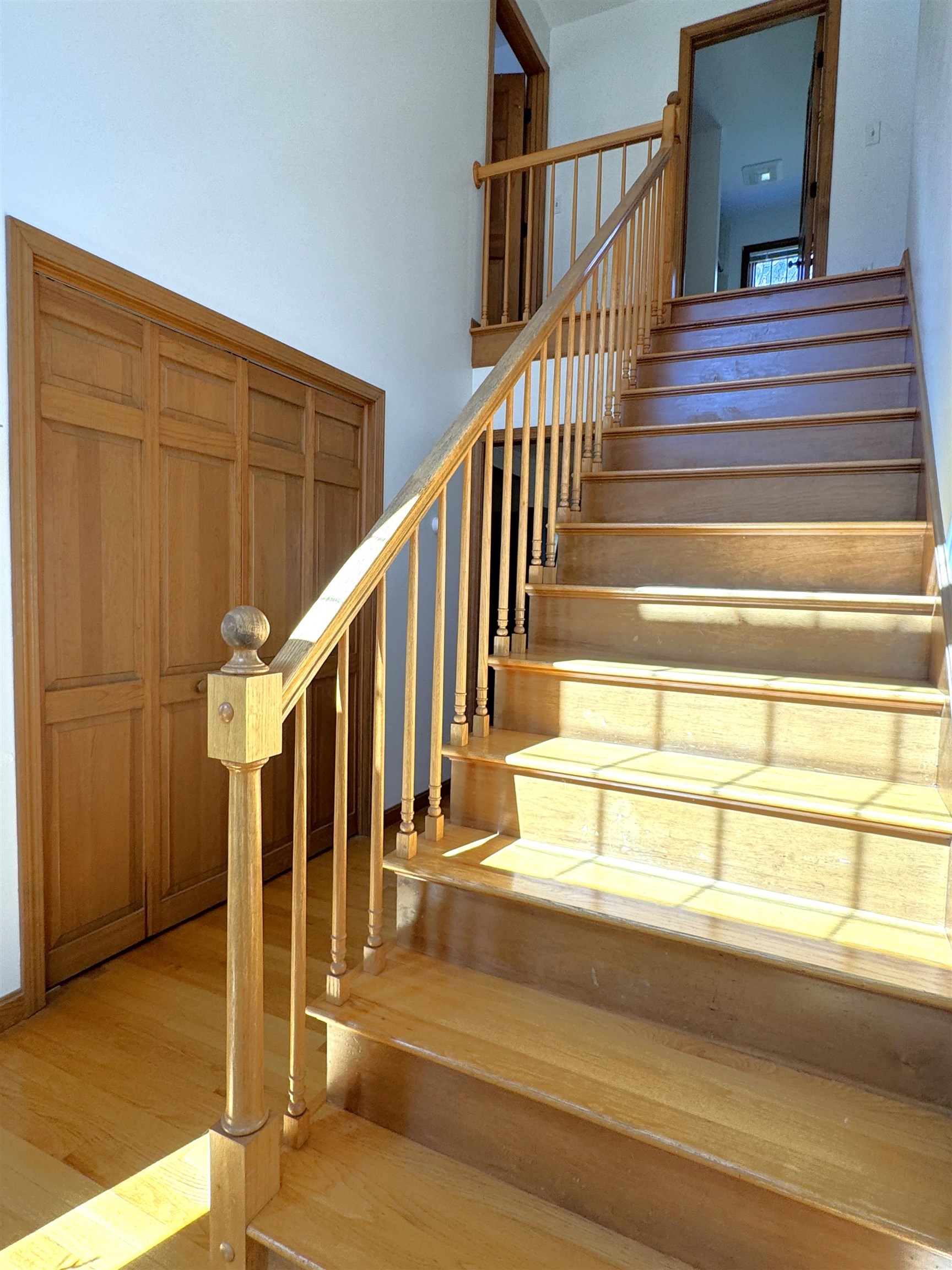 66 Andreski Drive