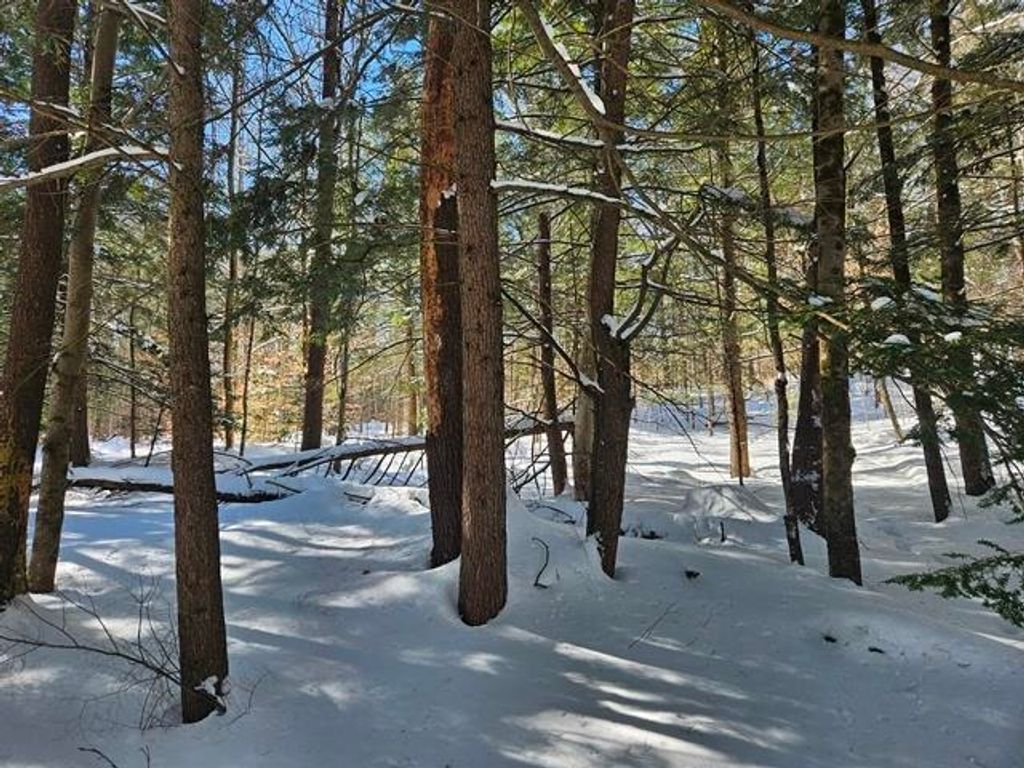 Photo of 0 Peg Shop Road, Keene, NH 03431 (MLS # 5077716)