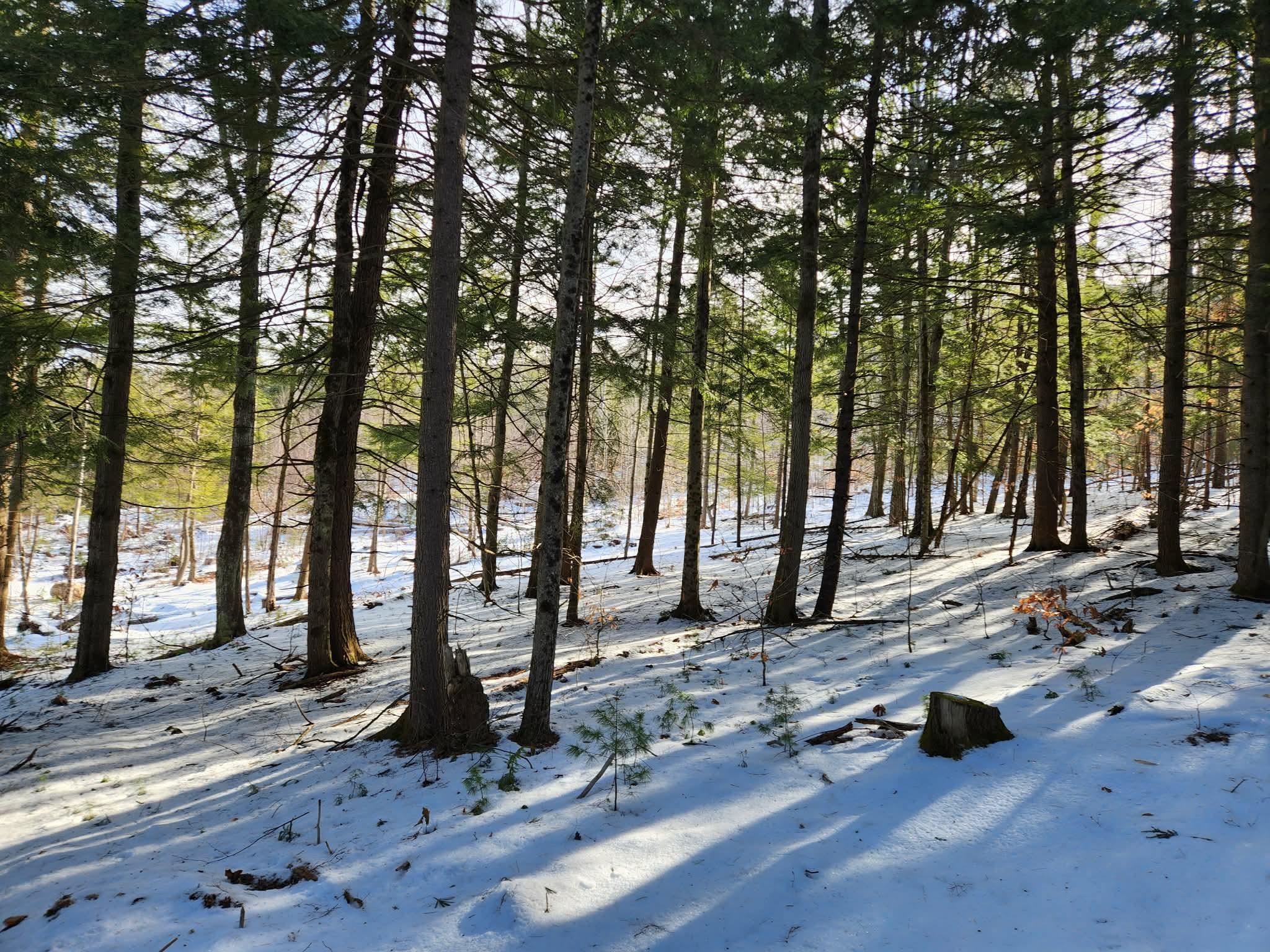 1 Munsey Hill Road 123-10-7