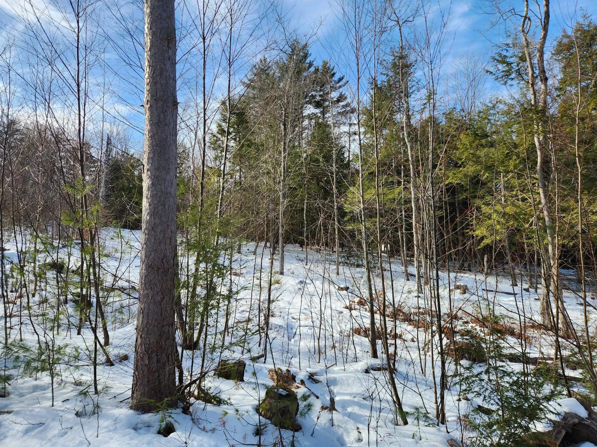 1 Munsey Hill Road 123-10-7