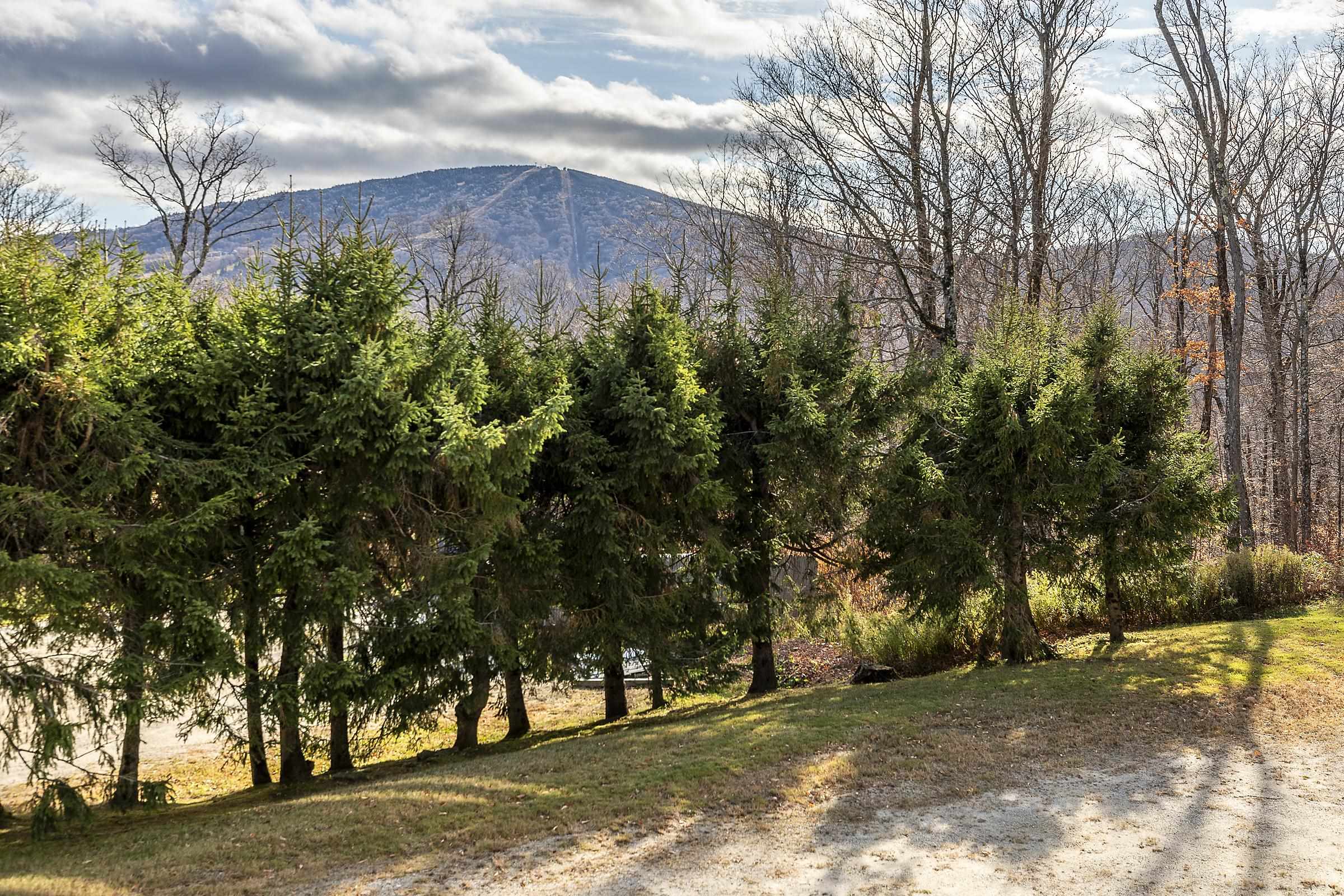 Winhall, Vermont 05340, United States, 3 Bedrooms Bedrooms, ,2 BathroomsBathrooms,Residential,Active,89749