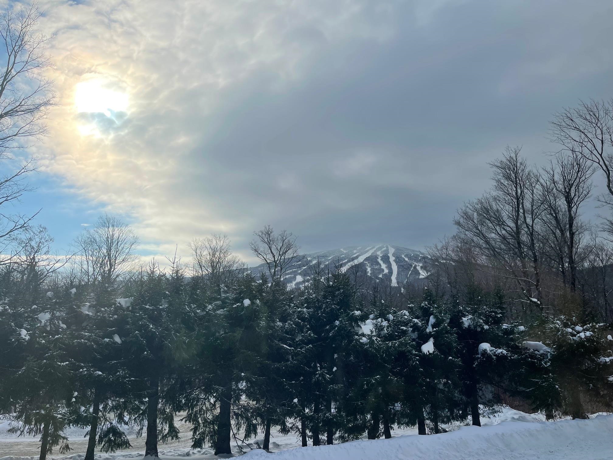 Winhall, Vermont 05340, United States, 3 Bedrooms Bedrooms, ,2 BathroomsBathrooms,Residential,Active,89749