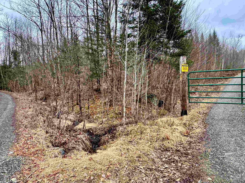 Photo of 12 Washburn Road, Columbia, NH 03576 (MLS # 5086324)