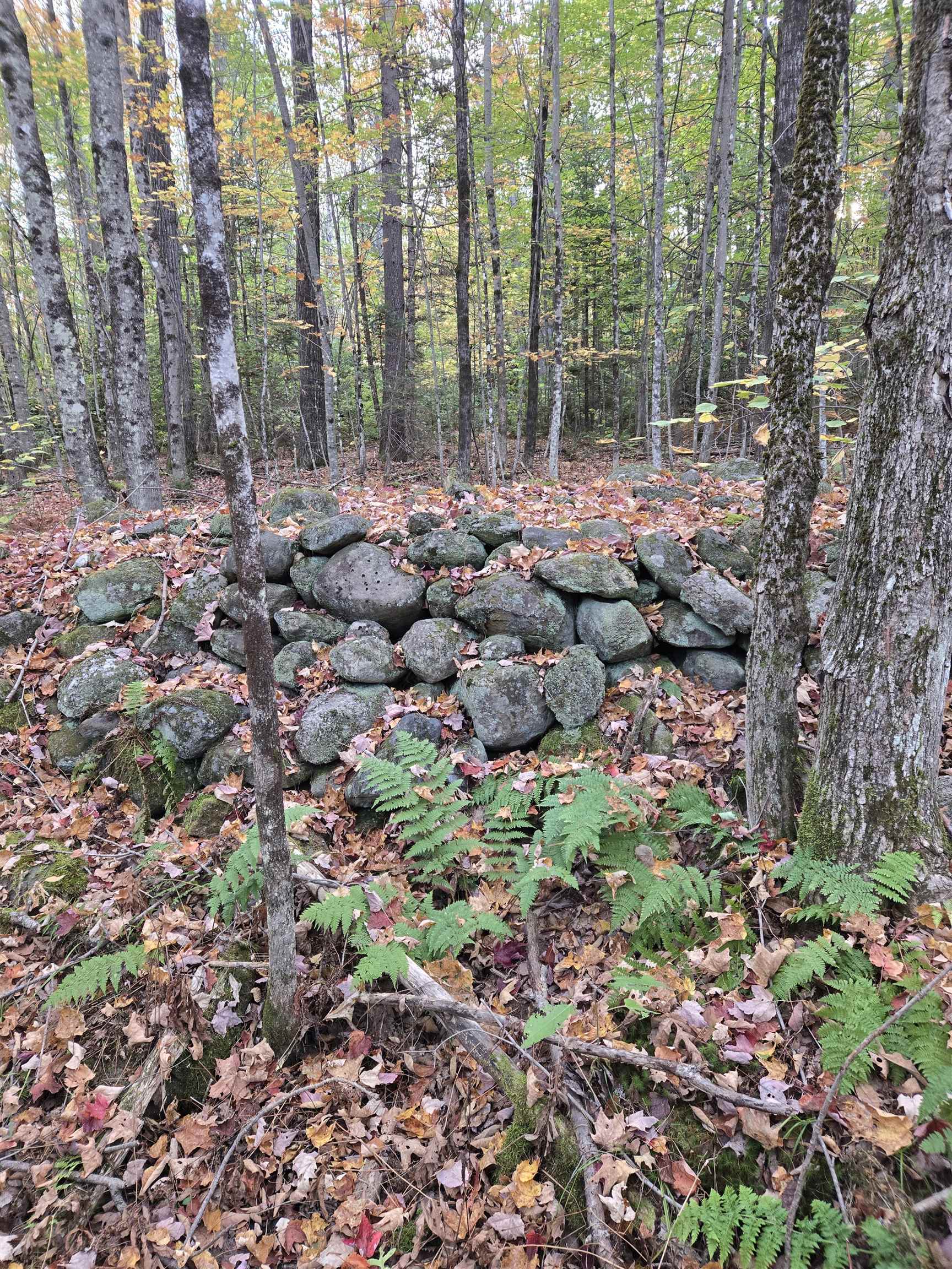 165 Bullocks Crossing Road