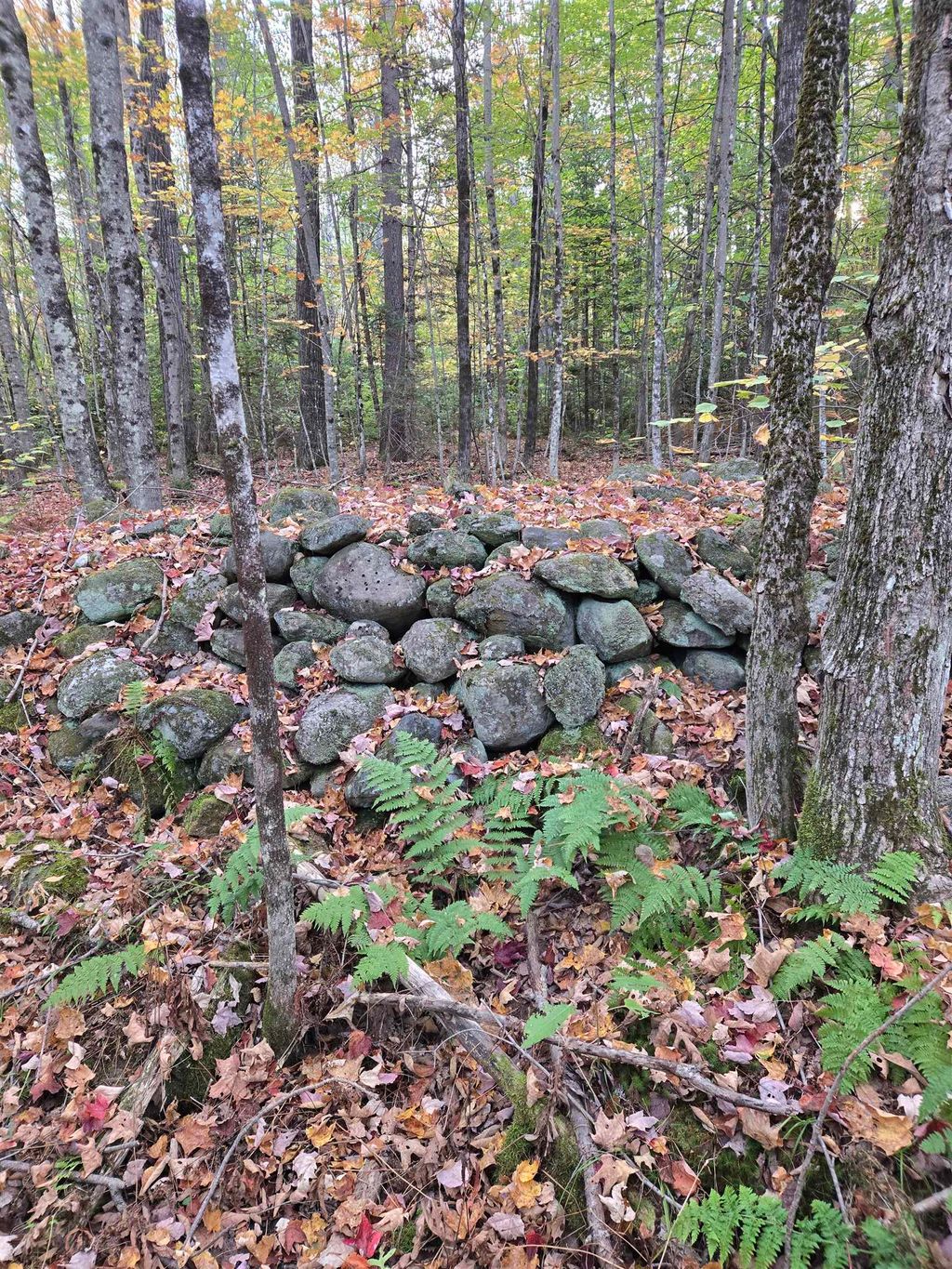 Photo of 165 Bullocks Crossing Road, Grafton, NH 03240 (MLS # 5069610)