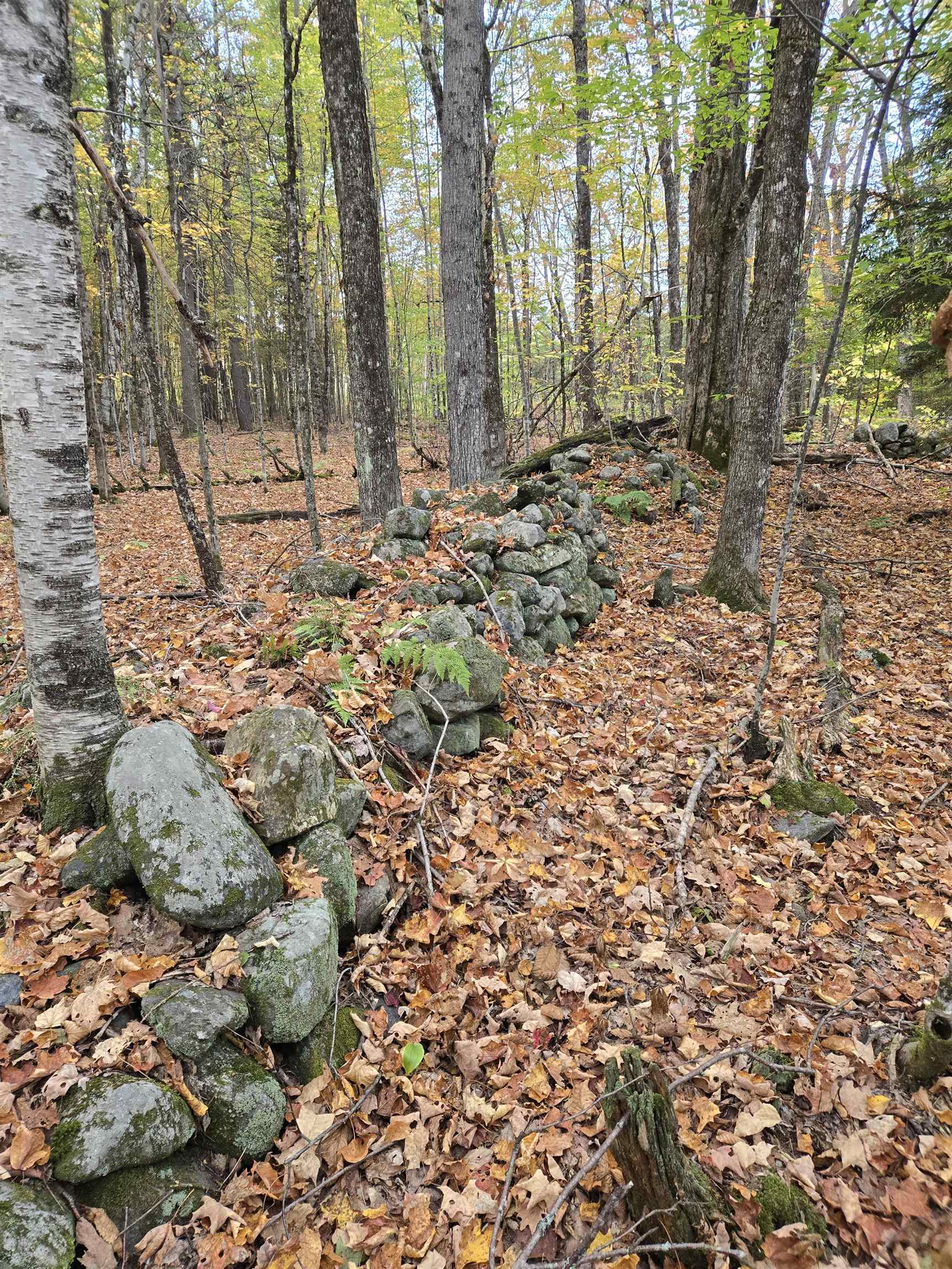 165 Bullocks Crossing Road