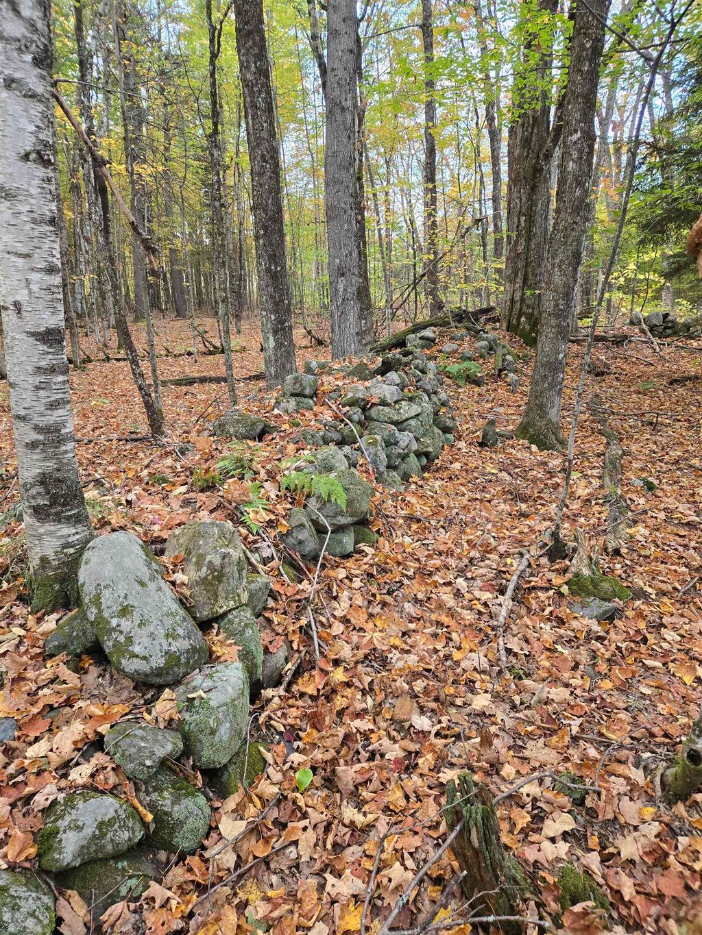 Photo of 165 Bullocks Crossing Road, Grafton, NH 03240 (MLS # 5069610)