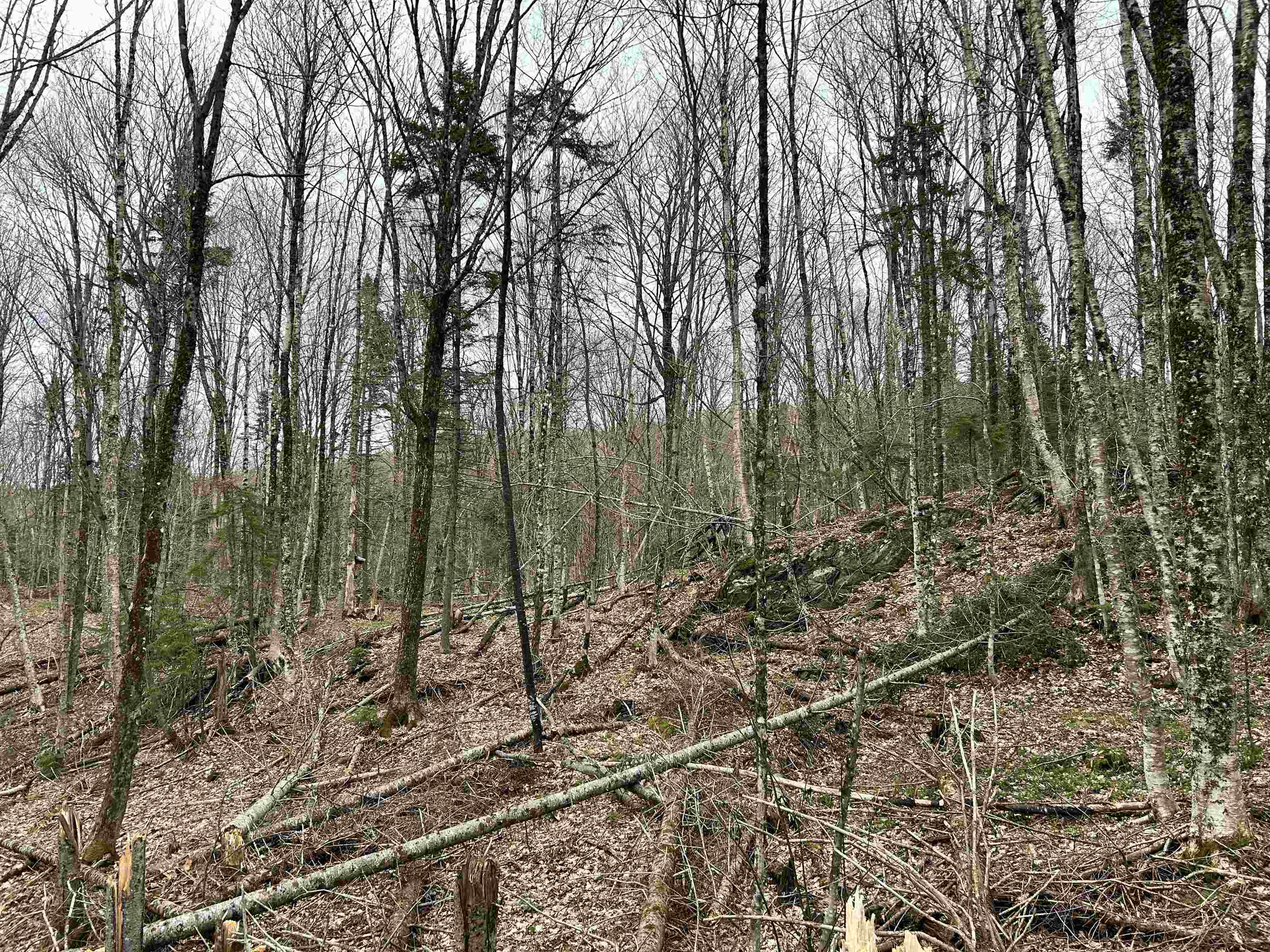 0 Andersonville Road