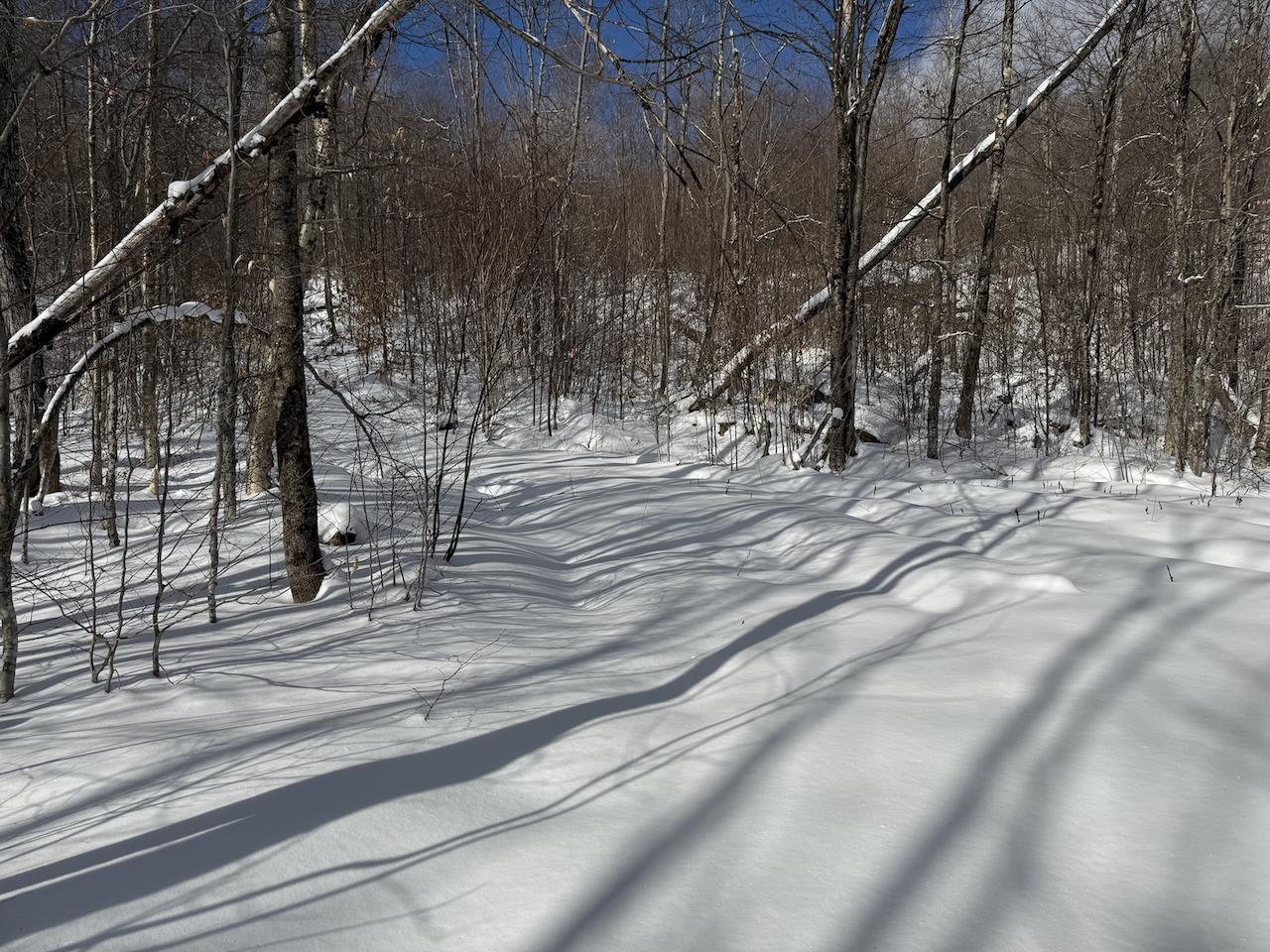 S-1c Great Roaring Brook Road S-1c